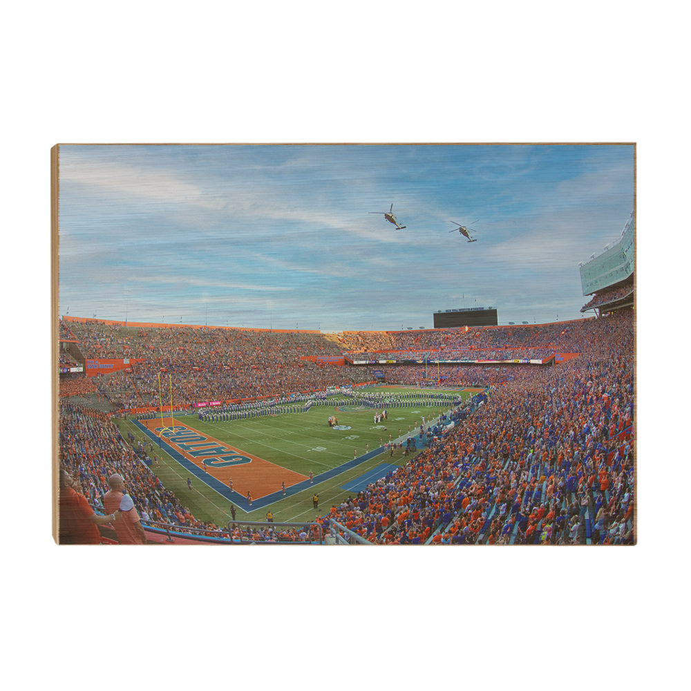 Florida Gators - Gator Flyover - College Wall Art #Canvas