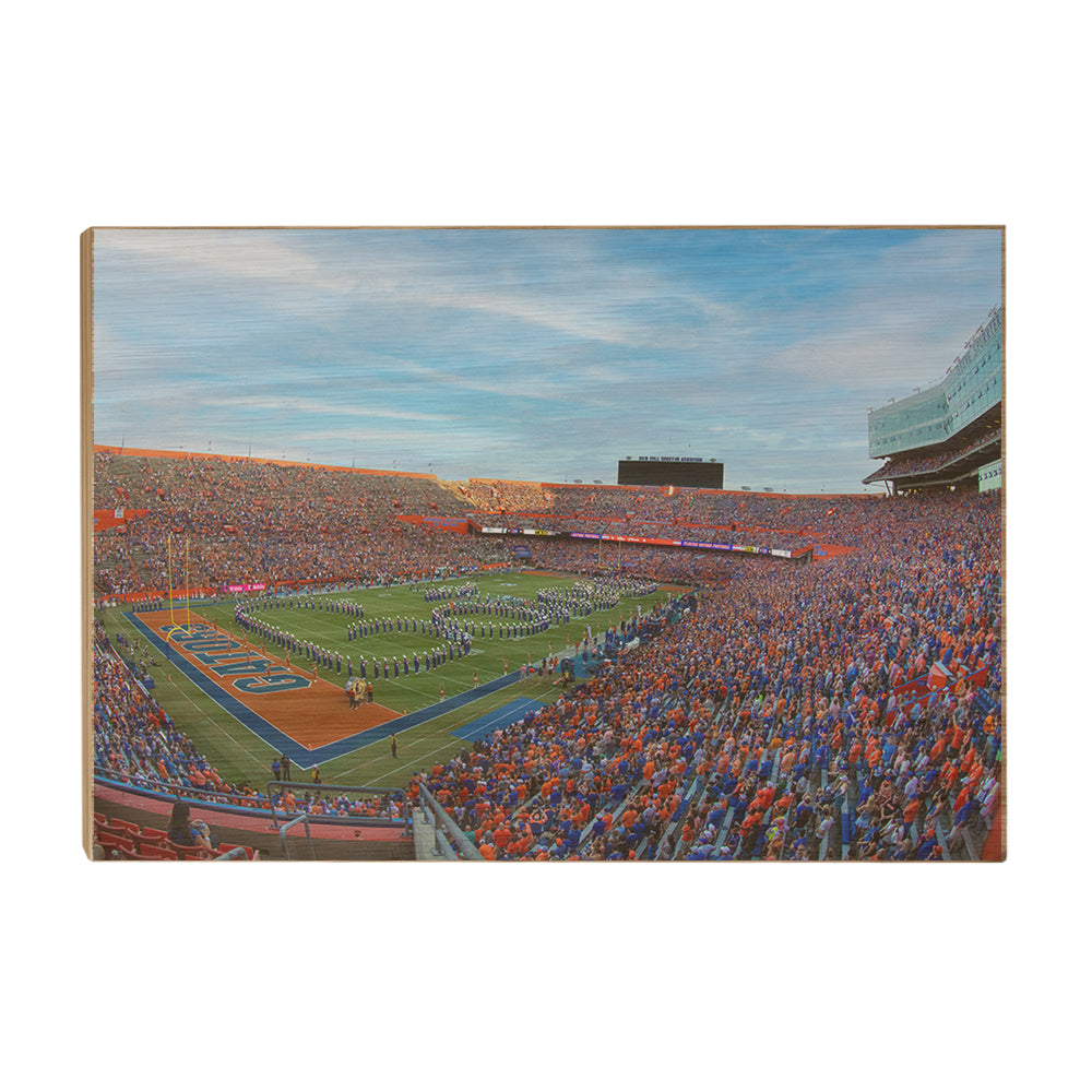 Florida Gators - Go Gators - College Wall Art #Canvas