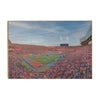 Florida Gators - Enter the Gators - College Wall Art #Wood