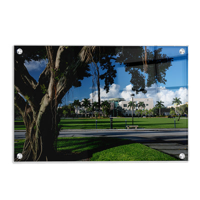 Florida Atlantic Owls - Banyan Tree - College Wall Art #Acrylic