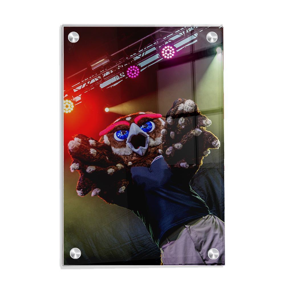 Florida Atlantic Owls - Owlsley on Stage - College Wall Art #Canvas