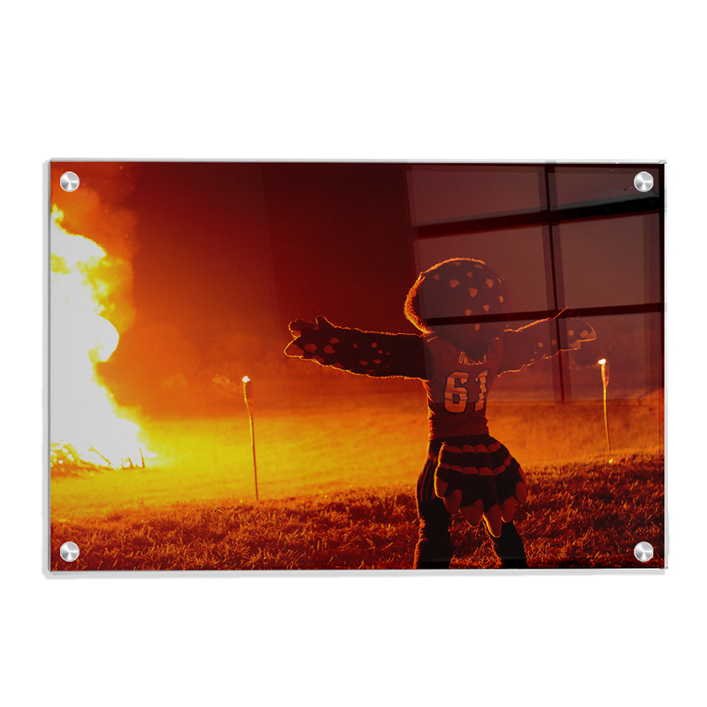 Florida Atlantic Owls - Owlsley and the Bonfire - College Wall Art #Canvas