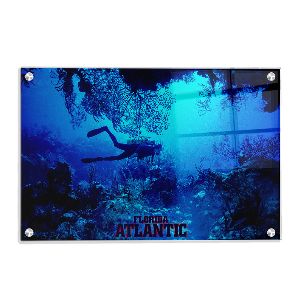 Florida Atlantic Owls - Florida Atlantic Dive - College Wall Art #Canvas