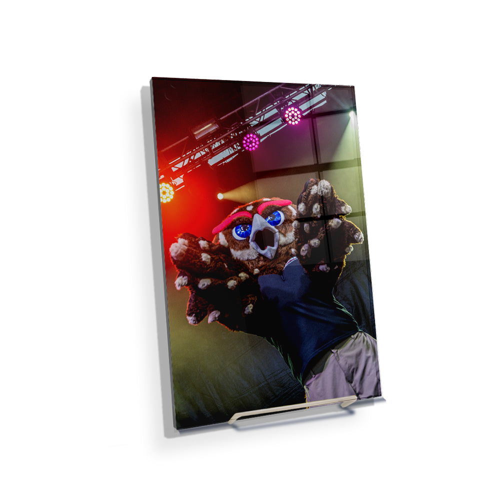 Florida Atlantic Owls - Owlsley on Stage - College Wall Art #Canvas