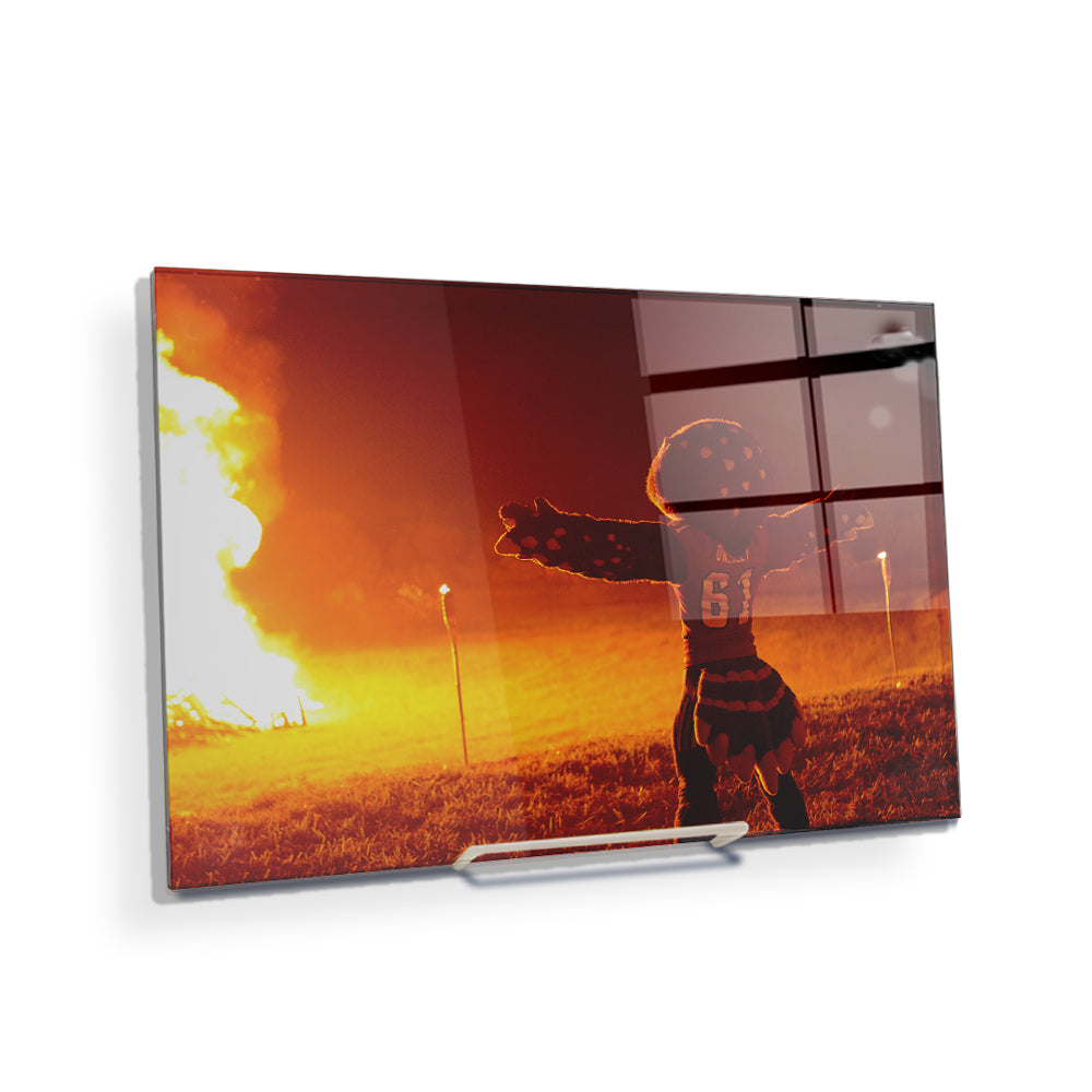 Florida Atlantic Owls - Owlsley and the Bonfire - College Wall Art #Canvas