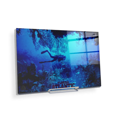 Florida Atlantic Owls - Florida Atlantic Dive - College Wall Art #Acrylic Mini