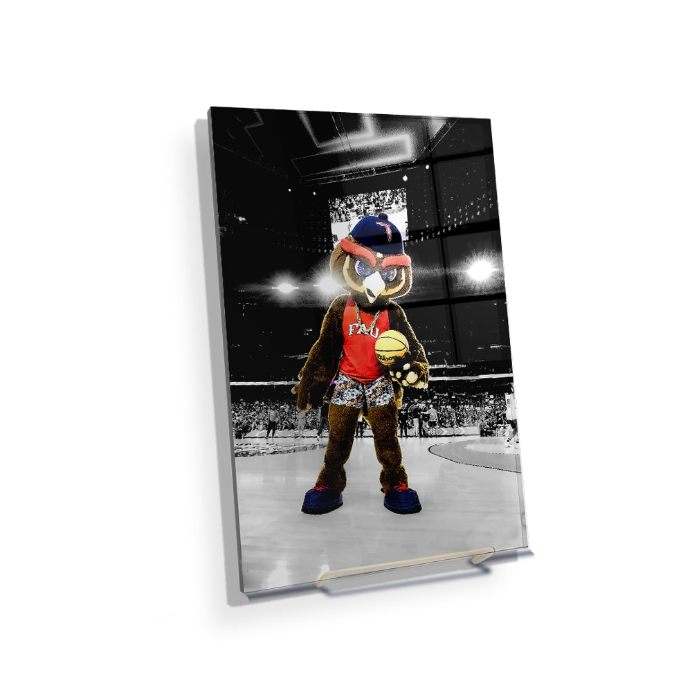 Florida Atlantic Owls - Owlsley in the Garden - College Wall Art #Canvas