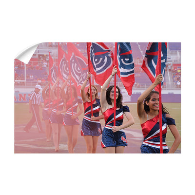 Florida Atlantic Owls - FAU Spirit