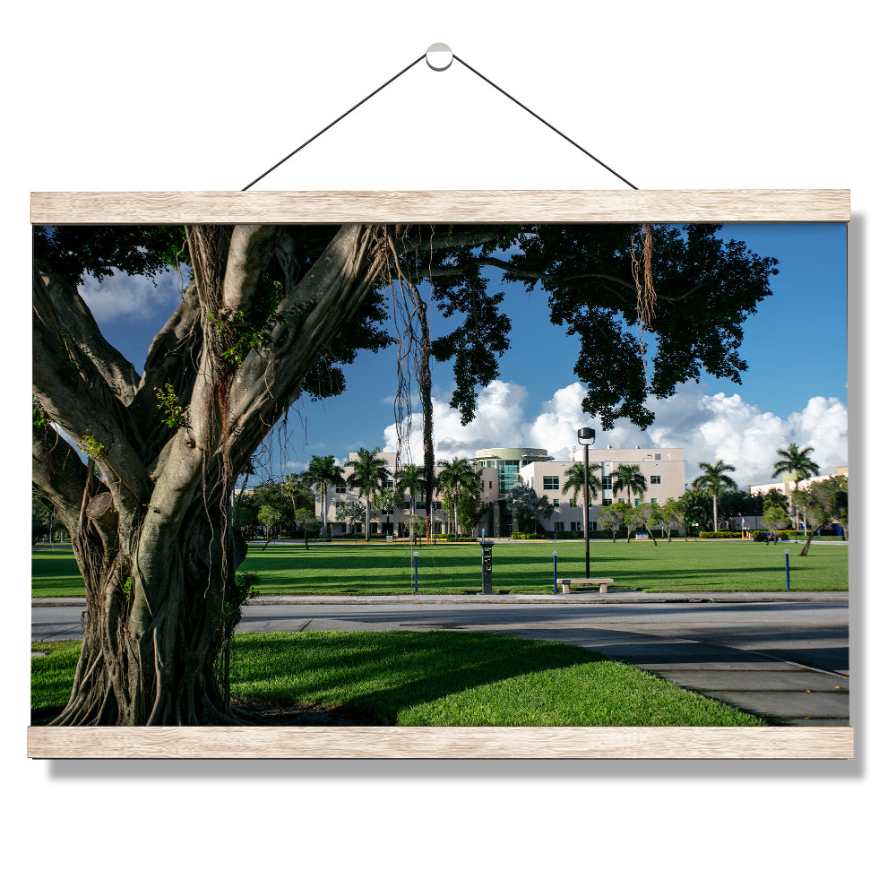 Florida Atlantic Owls - Banyan Tree - College Wall Art #Canvas