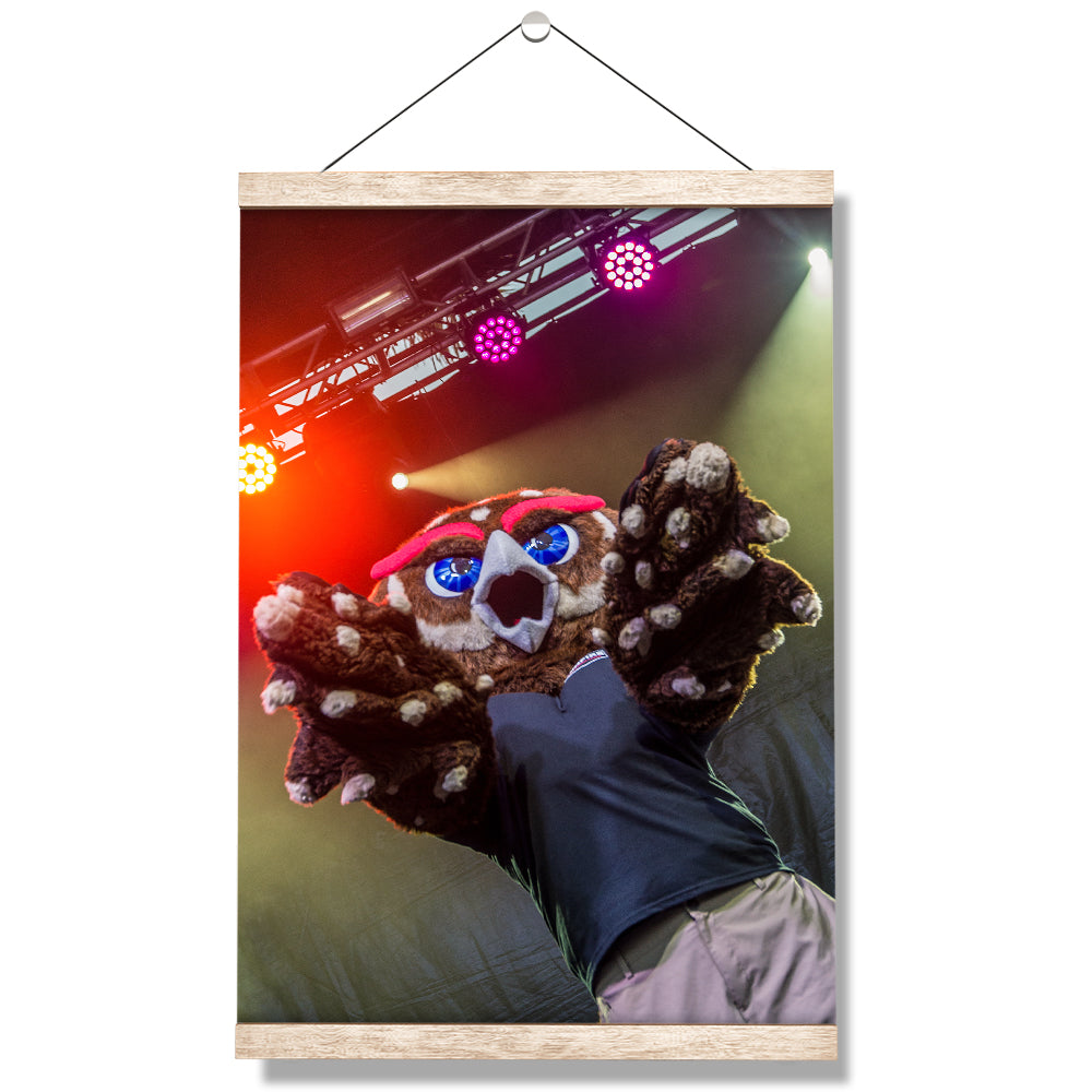 Florida Atlantic Owls - Owlsley on Stage - College Wall Art #Canvas