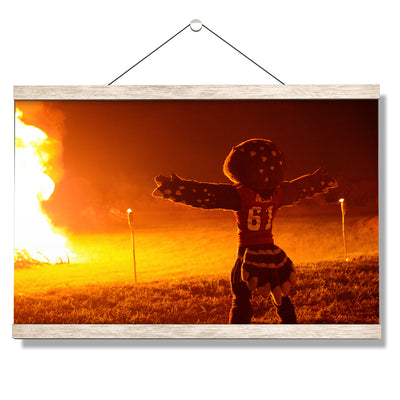 Florida Atlantic Owls - Owlsley and the Bonfire - College Wall Art #Hanging Canvas