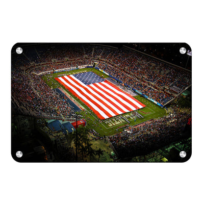 Florida Atlantic Owls - Stars and Stripes - College Wall Art #Metal