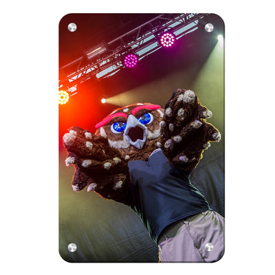 Florida Atlantic Owls - Owlsley on Stage - College Wall Art #Metal