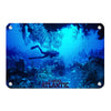 Florida Atlantic Owls - Florida Atlantic Dive - College Wall Art #Metal