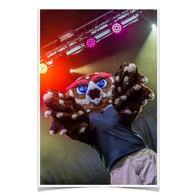 Florida Atlantic Owls - Owlsley on Stage - College Wall Art #Poster