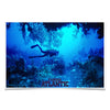 Florida Atlantic Owls - Florida Atlantic Dive - College Wall Art #Poster