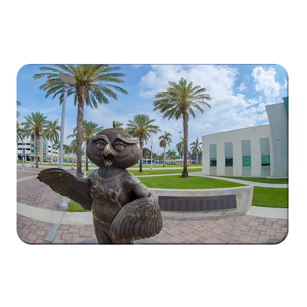 Florida Atlantic Owls - Welcome to Florida Atlantic - College Wall Art #Canvas