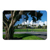 Florida Atlantic Owls - Banyan Tree - College Wall Art #PVC