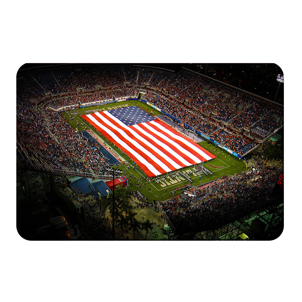 Florida Atlantic Owls - Stars and Stripes - College Wall Art #Canvas