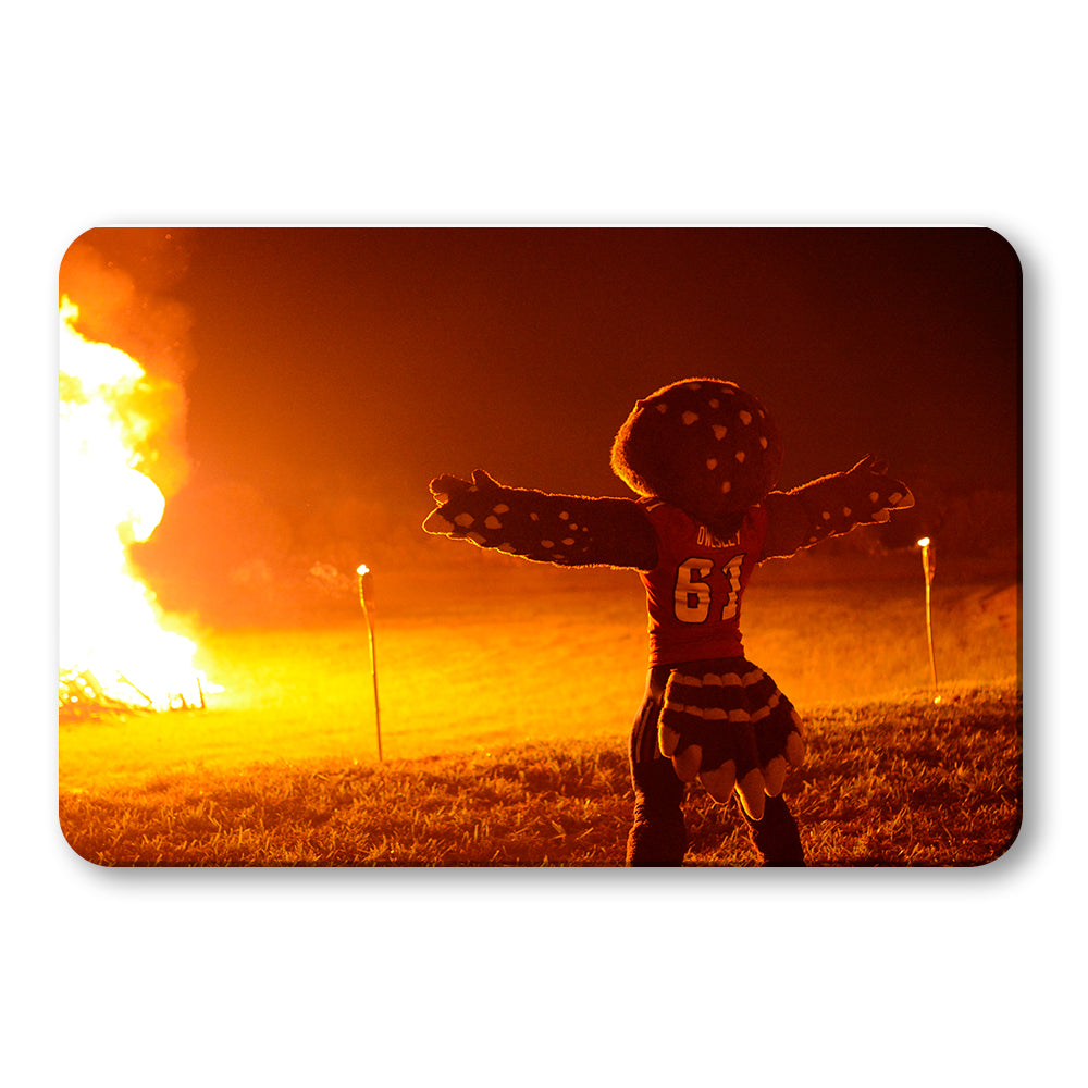 Florida Atlantic Owls - Owlsley and the Bonfire - College Wall Art #Canvas