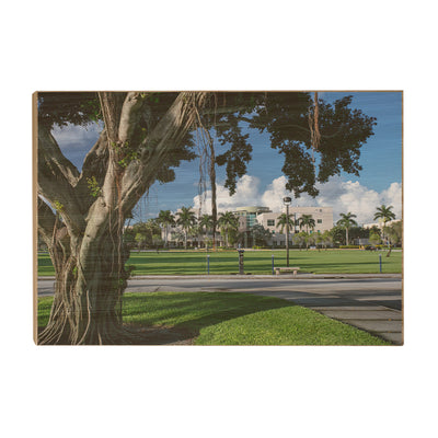 Florida Atlantic Owls - Banyan Tree - College Wall Art #Wood