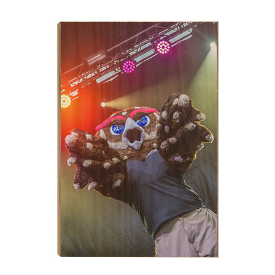 Florida Atlantic Owls - Owlsley on Stage - College Wall Art #Wood