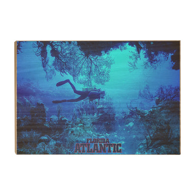 Florida Atlantic Owls - Florida Atlantic Dive - College Wall Art #Wood