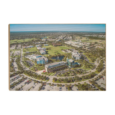 Florida Atlantic Owls - Florida Atlantic Aerial - College Wall Art #Wood