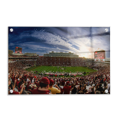 Florida State Seminoles - Doak - College Wall Art #Acrylic