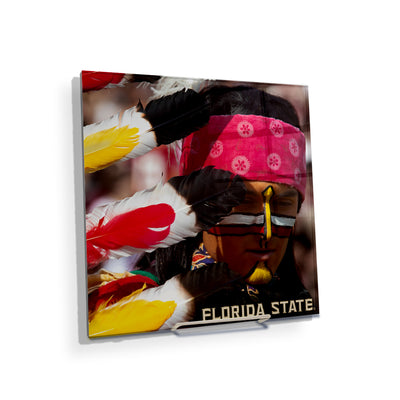 Florida State Seminoles - Florida State Seminole - College Wall Art #Acrylic Mini