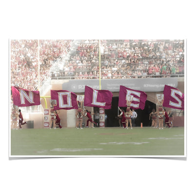 Florida State Seminoles - Noles - College Wall Art #Poster