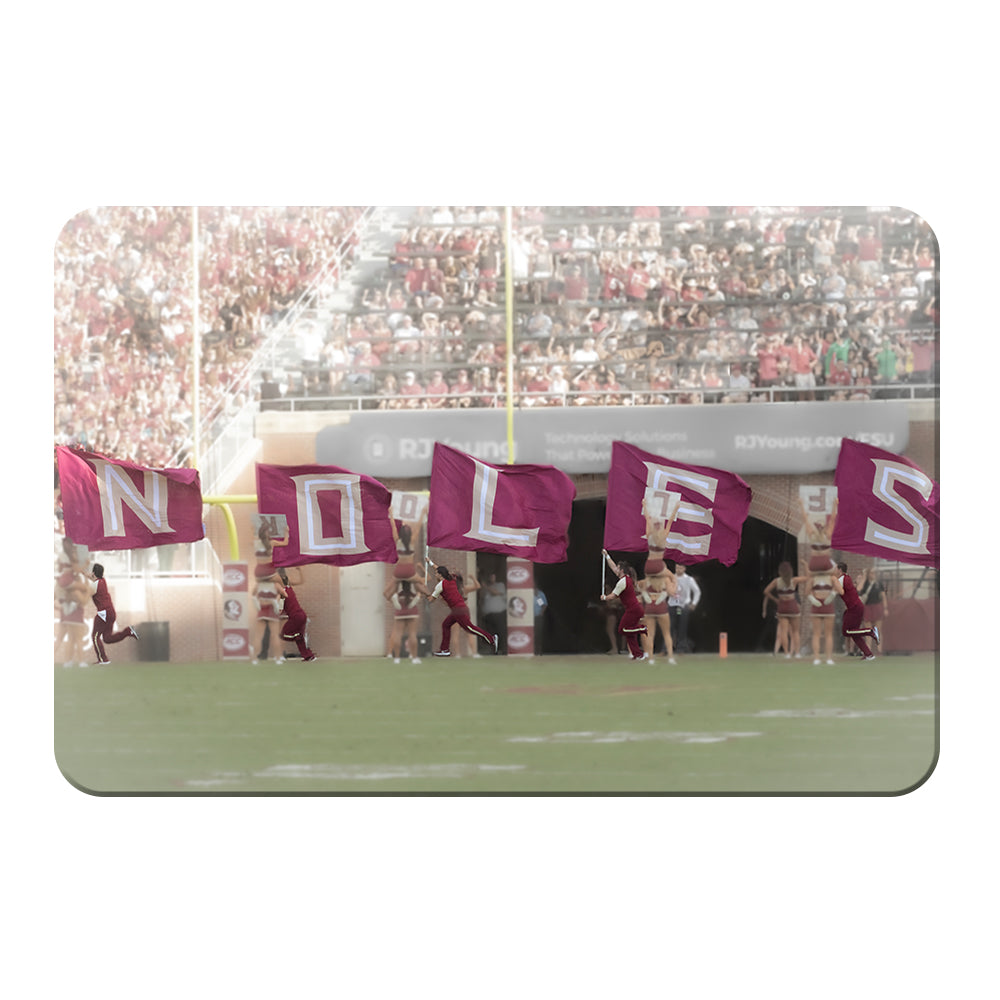 Florida State Seminoles - Noles - College Wall Art #Canvas