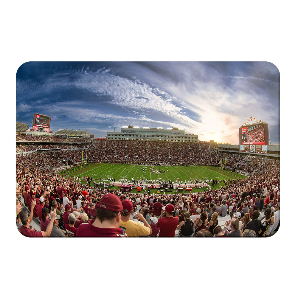 Florida State Seminoles - Doak - College Wall Art #Canvas