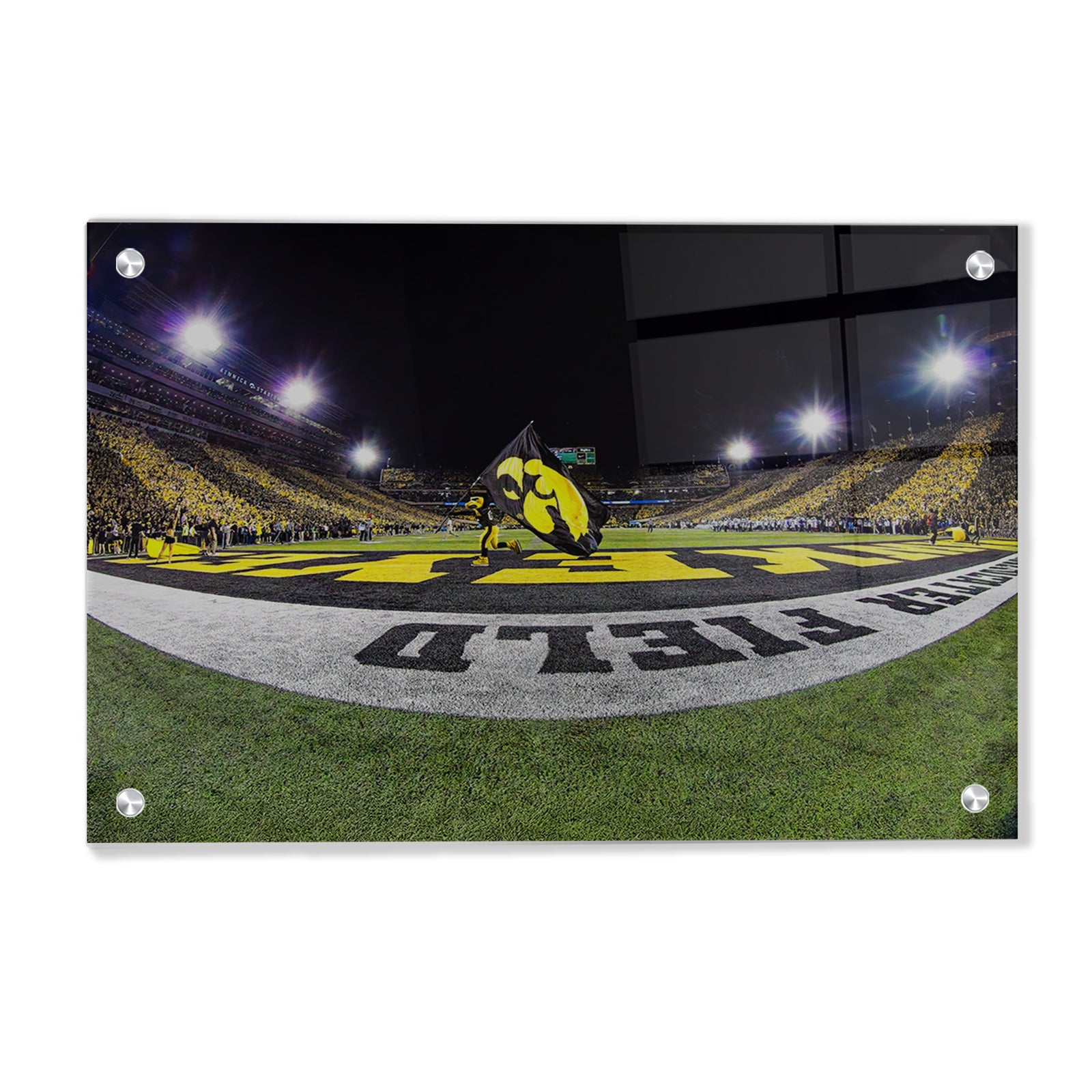 Iowa Hawkeyes - Herky in the End Zone - College Wall Art #Canvas