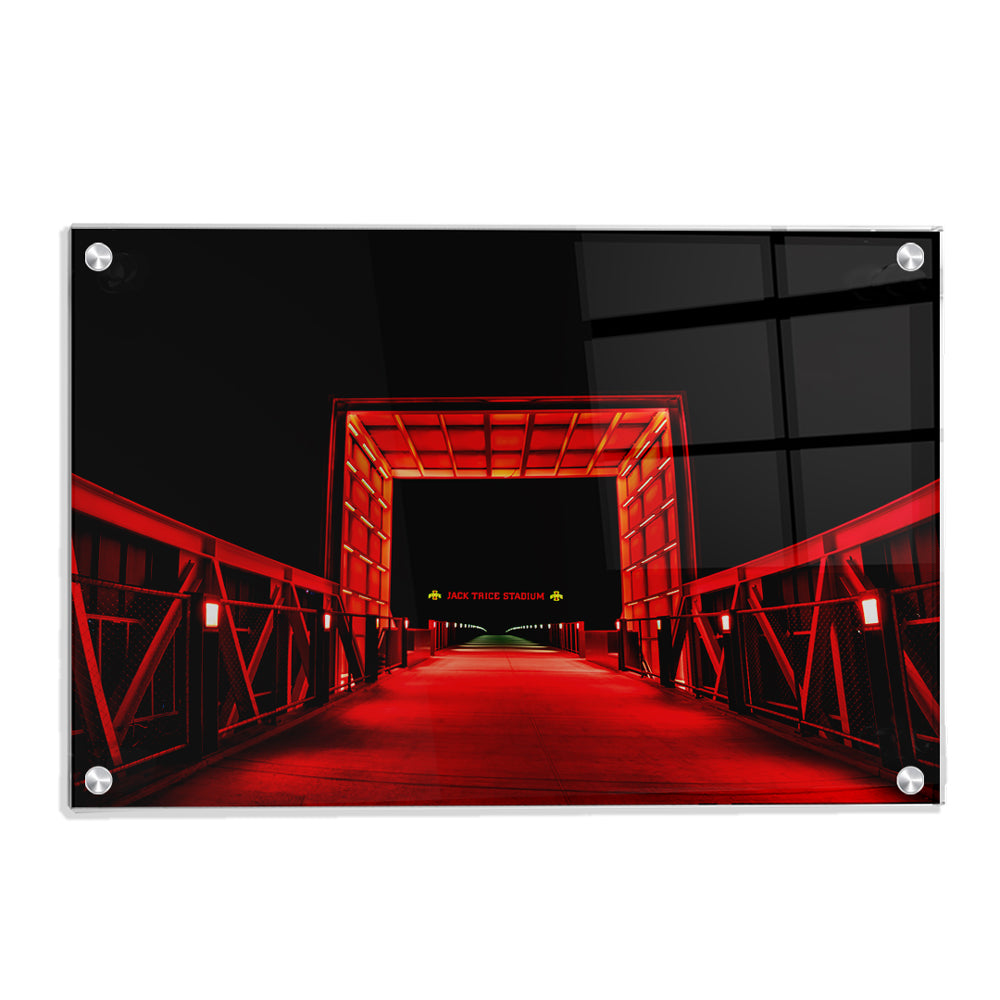 Iowa State Cyclones - Walk to Jack Trice Stadium - College Wall Art #Canvas