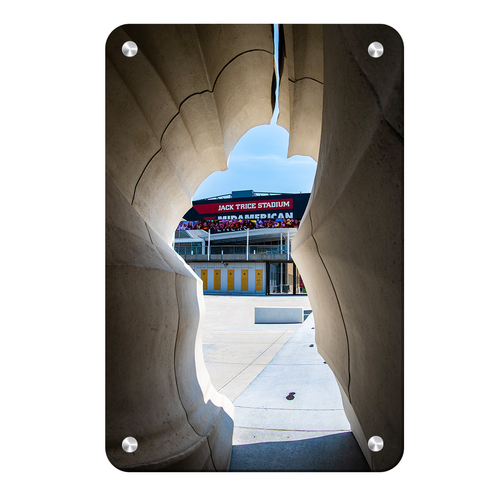 Iowa State Cyclones - Jack Trice View - College Wall Art #Canvas