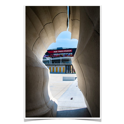 Iowa State Cyclones - Jack Trice View - College Wall Art #Poster