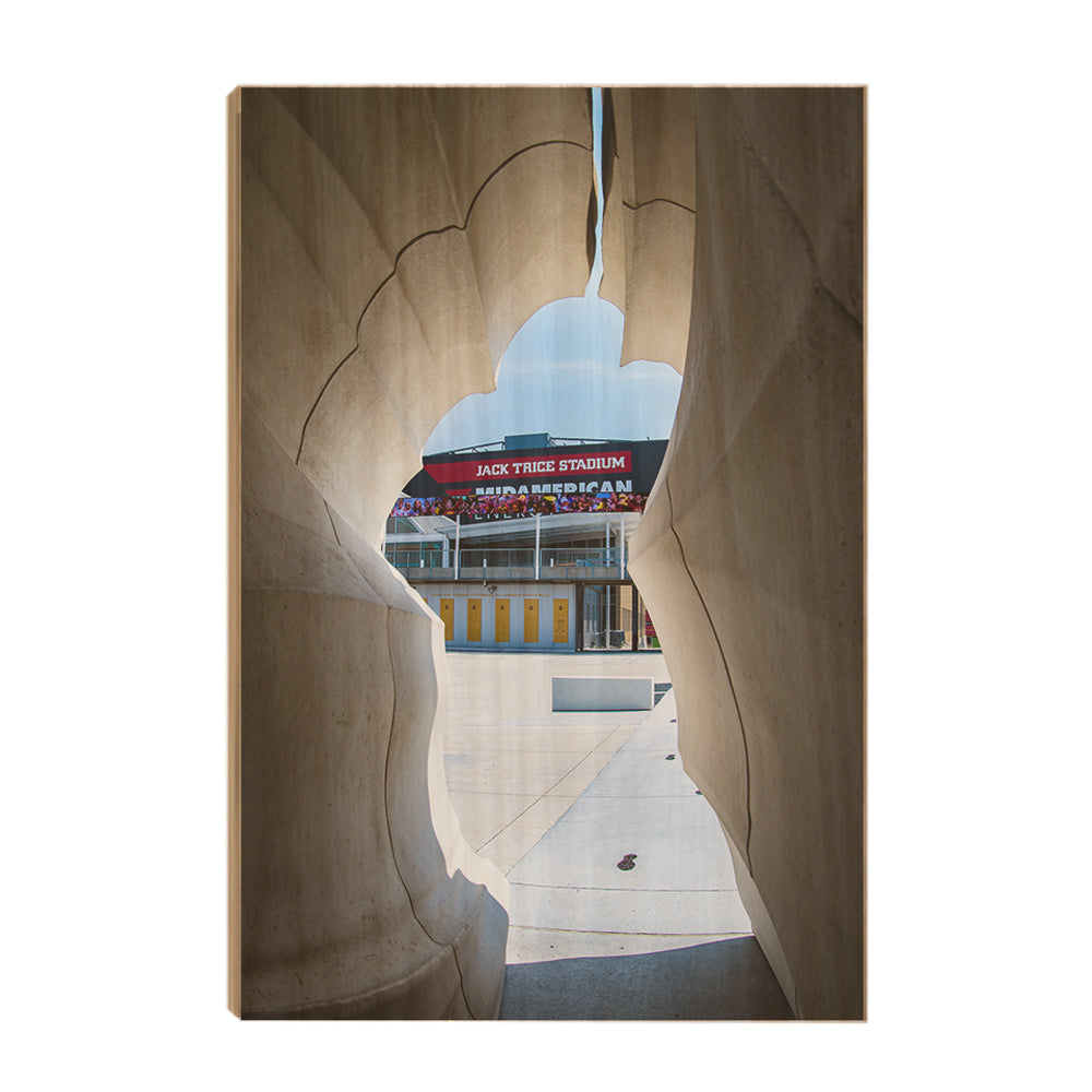 Iowa State Cyclones - Jack Trice View - College Wall Art #Canvas