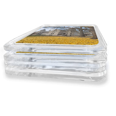 Indiana Hoosiers - Fall Setting