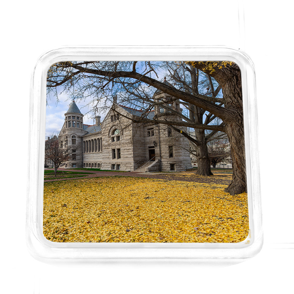 Indiana Hoosiers - Fall Setting