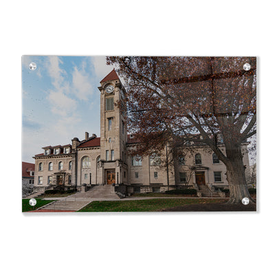 Indiana Hoosiers - Student Building - College Wall Art #Acrylic