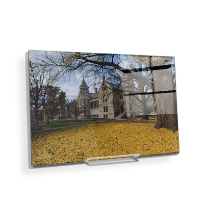 Indiana Hoosiers - Fall Setting - College Wall Art #Acrylic Mini