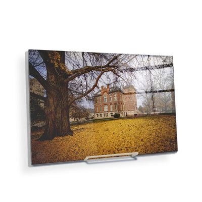 Indiana Hoosiers - Owen Hall - College Wall Art #Acrylic Mini