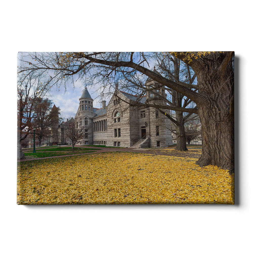 Indiana Hoosiers - Fall Setting - College Wall Art #Canvas 