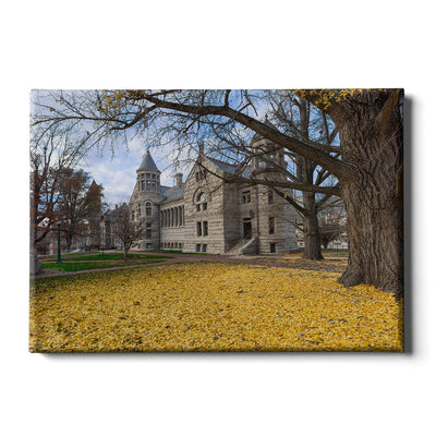 Indiana Hoosiers - Fall Setting - College Wall Art #Canvas
