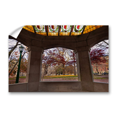 Indiana Hoosiers - Indiana Autumn Framed - College Wall Art #Decal