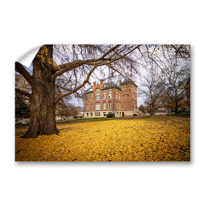 Indiana Hoosiers - Owen Hall - College Wall Art #Decal