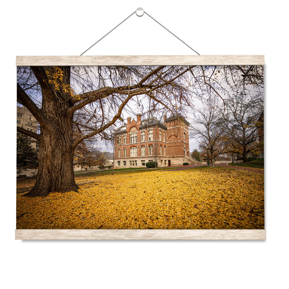 Indiana Hoosiers - Owen Hall - College Wall Art #Canvas