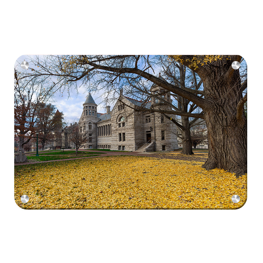 Indiana Hoosiers - Fall Setting - College Wall Art #Canvas 