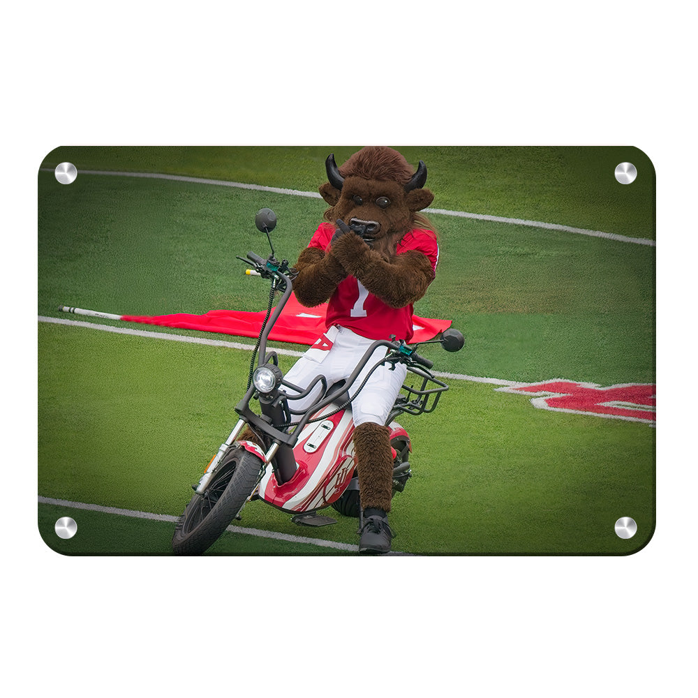 Indiana Hoosiers - Hoosier the Bison Easy Rider - College Wall Art #Canvas